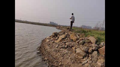 Navi Mumbai: Greens hail re-inspection of Uran wetlands