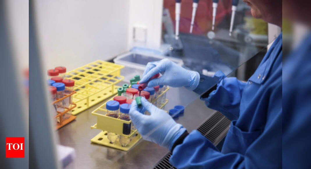Hyderabad Based Divi S Labs Second Pharma Company With Rs 1 Lakh Crore Market Capitalization Hyderabad News Times Of India