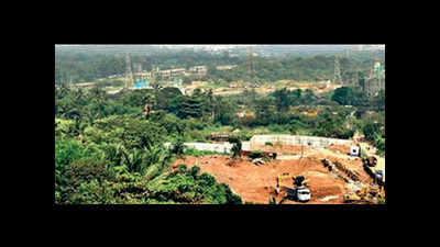 Gujarat: 5,000 hectares of pastoral land grabbed