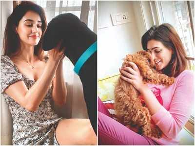 Bollywood celebrities share love and pawsitivity during the pandemic