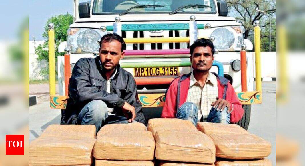 Vadodara: Two held for ferrying 78 kg marijuana | Vadodara News - Times ...