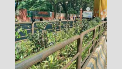 Bengaluru: From RWH to LED lights, Metro adopts slew of eco-friendly steps