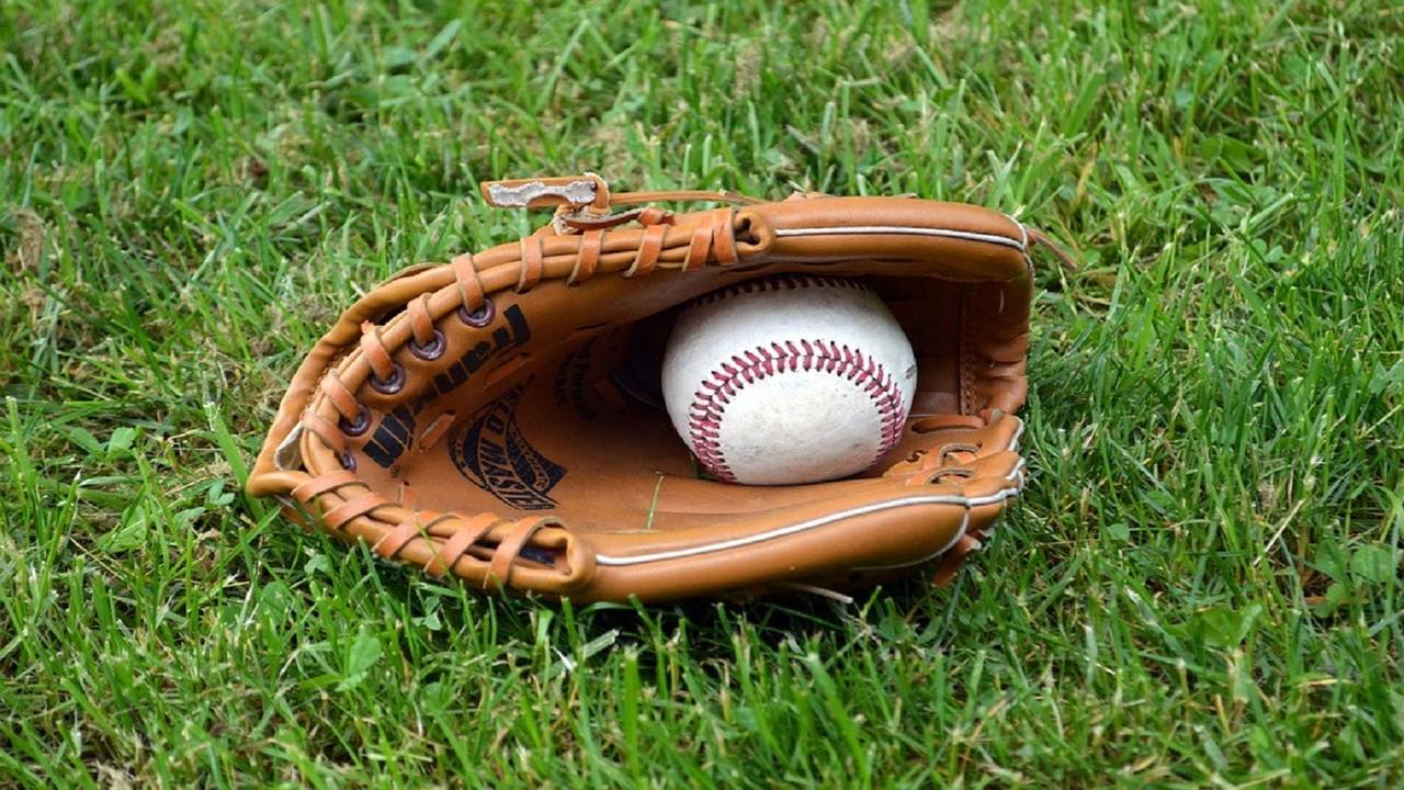 Indian baseball glove online