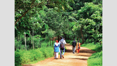 Eco-tourism push to attract nature lovers to Andhra Pradesh