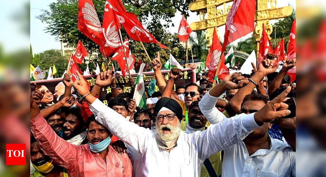 Farmers to decide over talks with Centre on Wednesday, Tomar hopeful of resolution: Key developments | India News - Vimarsana News