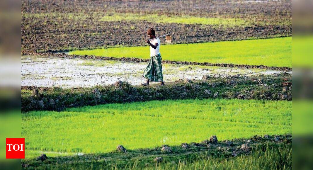 BJP to take PM Modi’s farm law message to 20 lakh farmers in UP ...