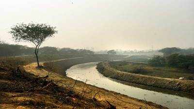 How a wetland is brought back to life in south Delhi