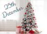 Why is Christmas celebrated on the 25th of December?