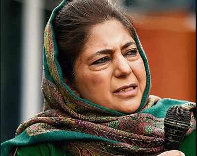Jammu and Kashmir DDC election results: Burden of past weighs on PDP’s poll show