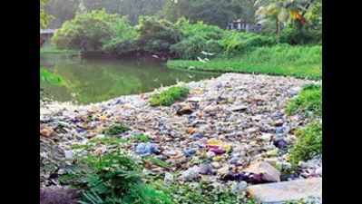 AP: Covid slows down pace of river cleaning programme