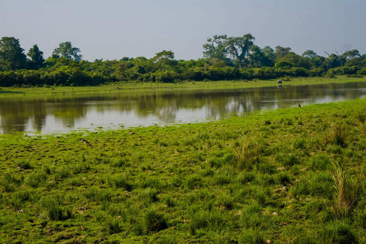 Haflong, Assam