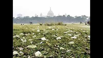Calcutta HC appoints panel for Maidan upkeep, orders urgent clean-up