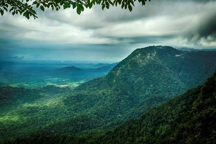 Best Road Trips To Explore The Western Ghats | Times Of India Travel