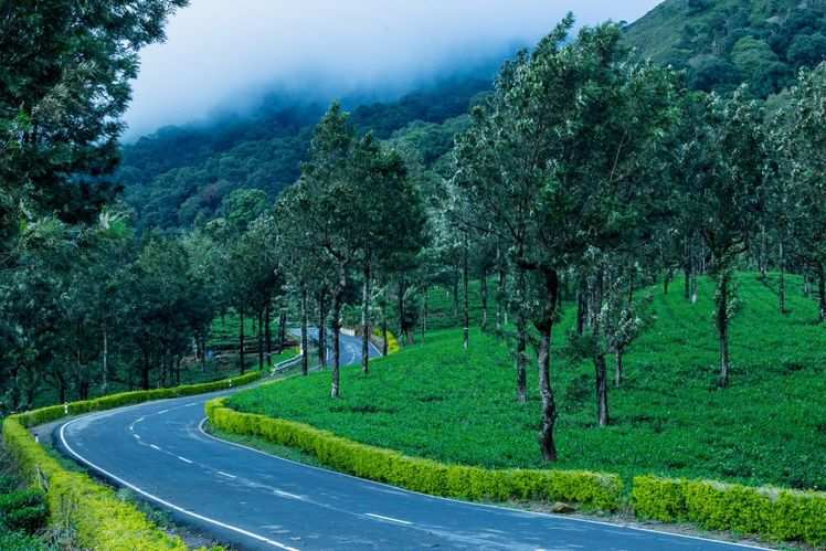 Best Road Trips To Explore The Western Ghats | Times Of India Travel