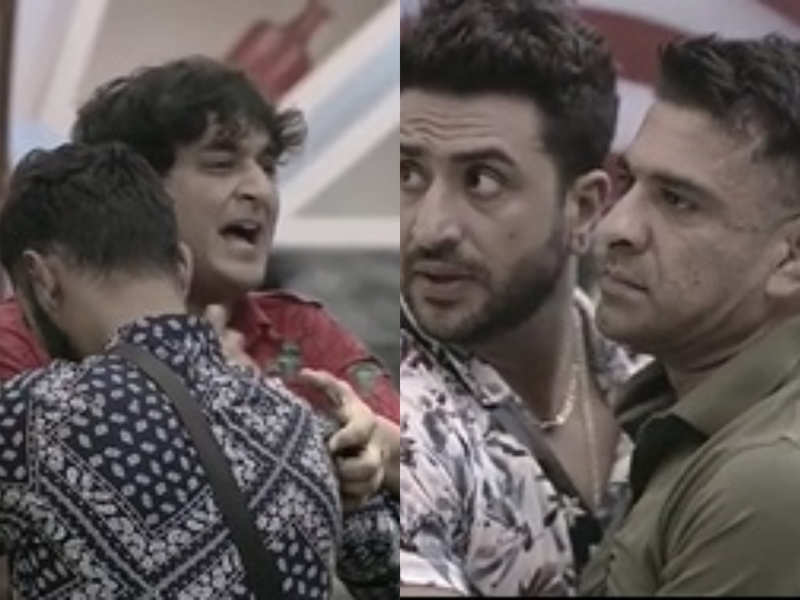 Bigg Boss 14: Vikas Gupta and Eijaz Khan get violent with each other