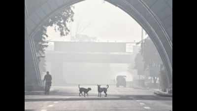 Air quality improves to 'very poor' in Noida, Ghaziabad, Faridabad & Gurugram