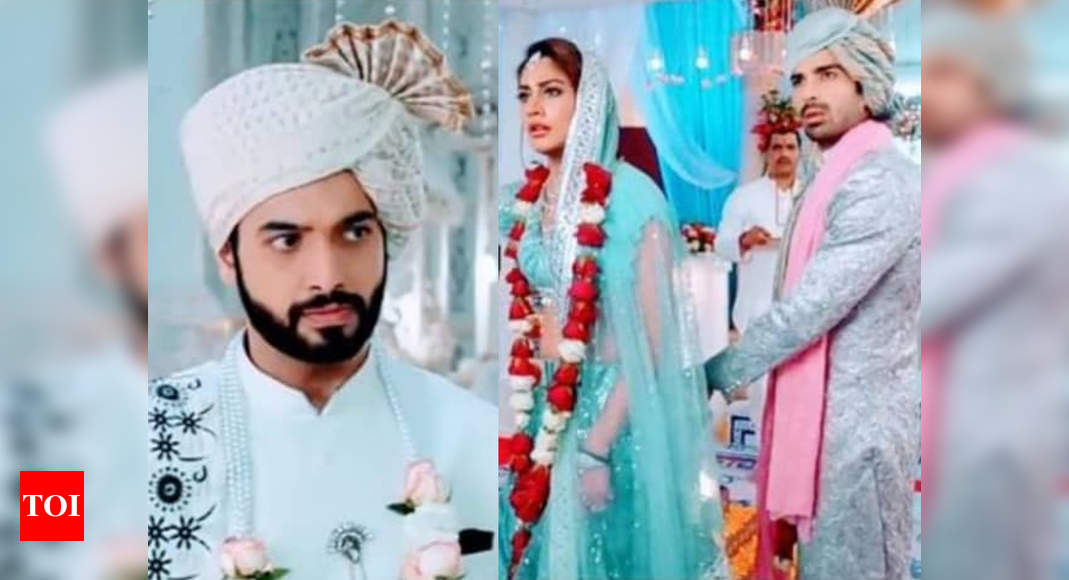 Naagin 5 Update December 26 Bani Decides To Marry Jay To Make Veer Envious Times Of India