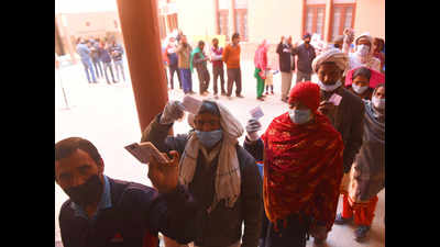 Haryana civic polls 2020: About 60% voting reported, elections held amid tight security