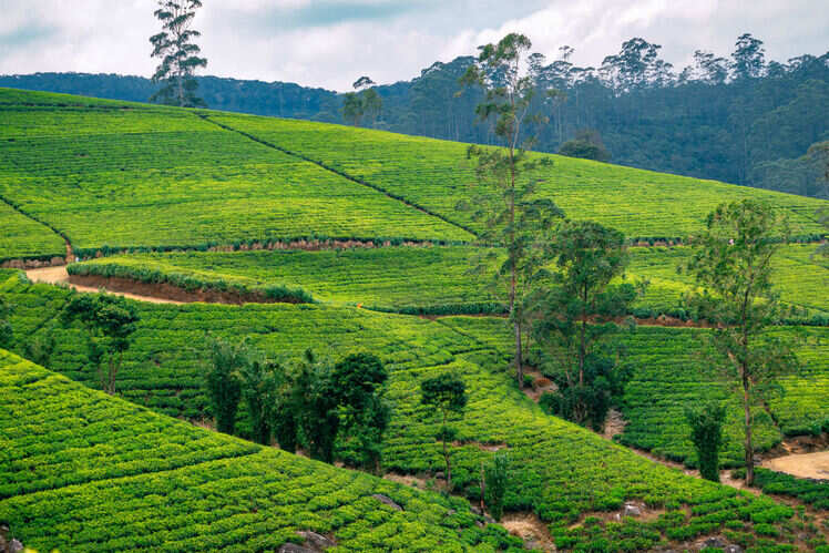 Book a stay at an organic farm