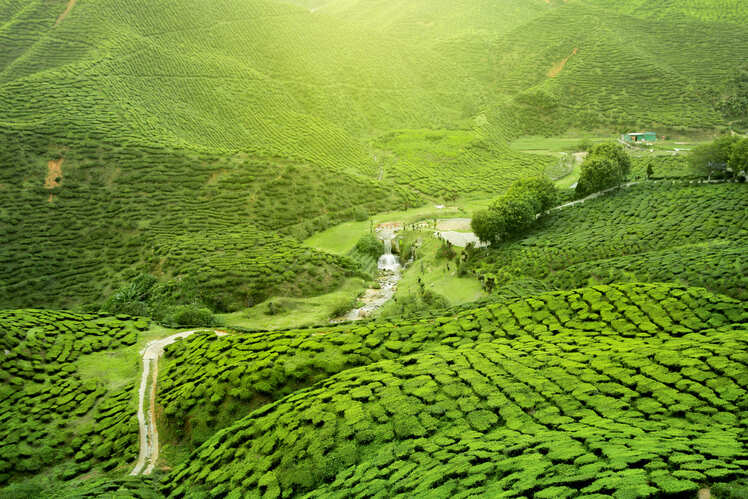 Kolkata to Darjeeling