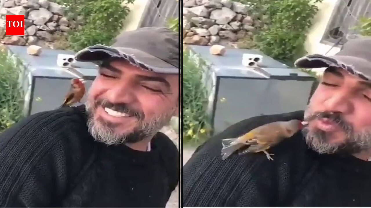 Bird chirping around man's shoulder, video goes viral