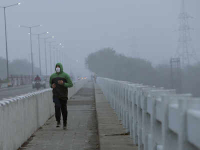 Several states in grip of cold wave; north India to witness chilly New Year eve