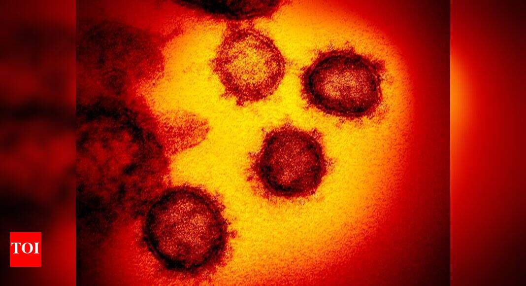 10 regional laboratories identified for genome sequencing to detect new coronavirus variant | India News - Vimarsana News