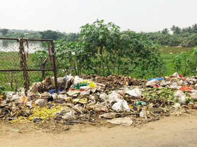 Karnataka: Garbage dumping, sewage choking Harohalli Lake | Bengaluru ...