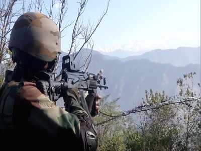 166 locals among 203 terrorists killed in 2020