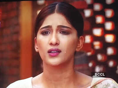 Choti Sardarni update, December 30: Meher thanks her family members for supporting her - Times 