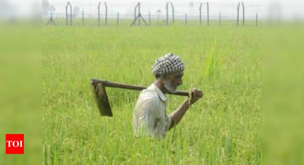 Kerala Becomes 5th State To Pass Resolution Against Farm Laws: Key Developments |  India News
