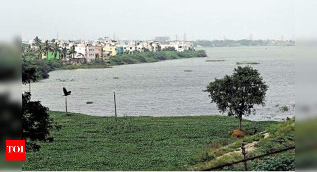 Chennai: Encroachments, raw sewage damage Retteri lake | Chennai News ...