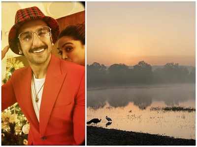 Ranveer Singh shares the first picture from his Ranthambore holiday with wifey Deepika Padukone