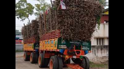 Tamil Nadu: Three die in a road accident near Thanjavur