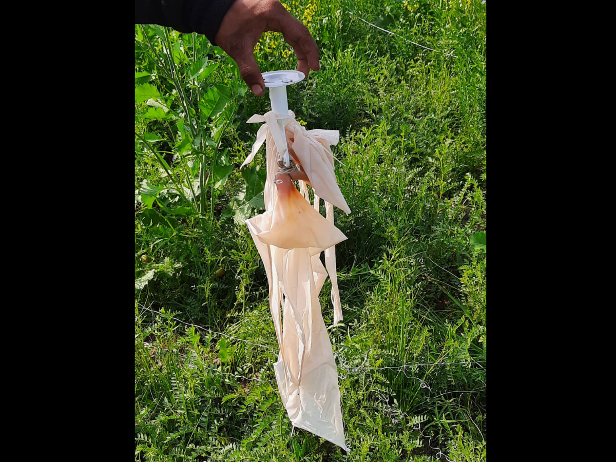 Villagers In Madhya Pradesh Mistake Weather Balloon As Ufo Bhopal News Times Of India
