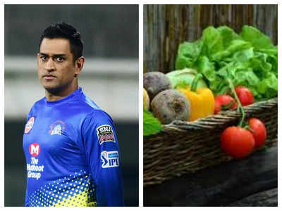 MS Dhoni to export vegetables grown in his Ranchi farmhouse to Dubai