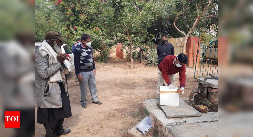 Bird Flu in Rajasthan: 7 crows found dead in Jal Mahal lake as bird flu ...