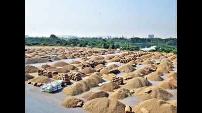 Gujarat: Groundnut oil export to cross 2 lakh tonnes this year