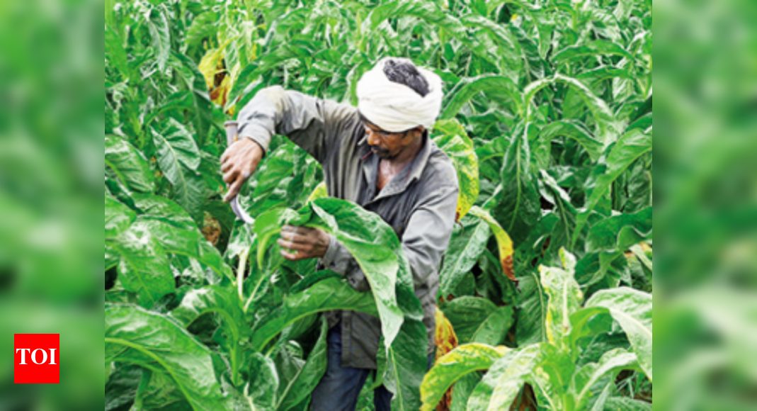 A ‘patashala’ of integrated organic farming in Kerala Kochi News