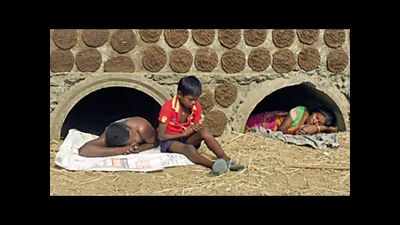 Ostracised for ‘witchcraft’, Balasore tribals take refuge in culvert pipe