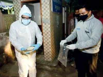 Bird flu scare in Rajasthan: Samples collected from Jaisalmer