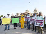 Animal rights groups demand better conditions for Jaipur’s elephants