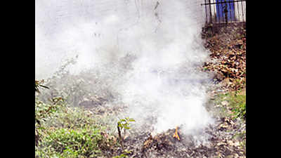 Patna, Muzaffarpur among 4 most polluted cities