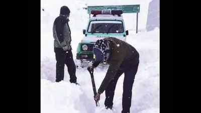 Himachal Pradesh: Over 1,000 tourist vehicles stranded in Solang valley