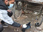 Thousands of birds die of bird flu in India