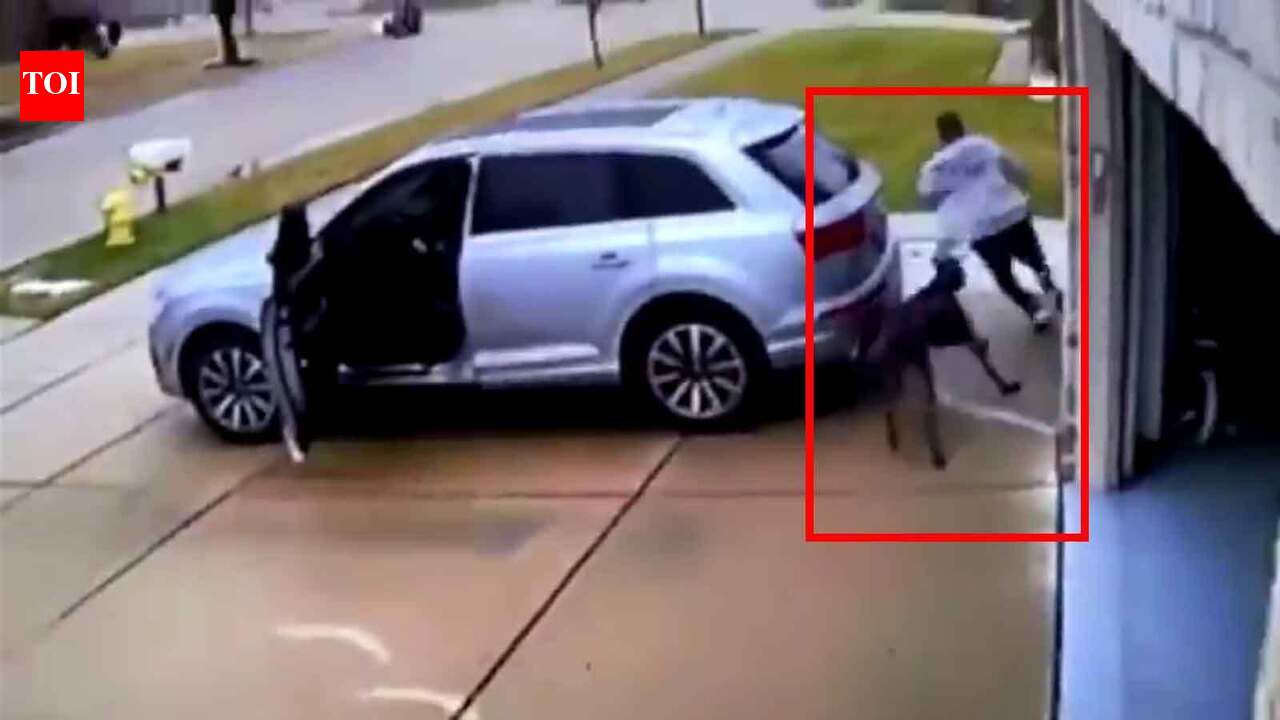 Viral video: Dog chases man assuming him to be a thief