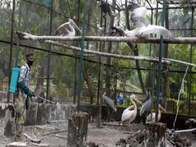 Monitor 12 epicentres to curb avian flu, Centre tells states