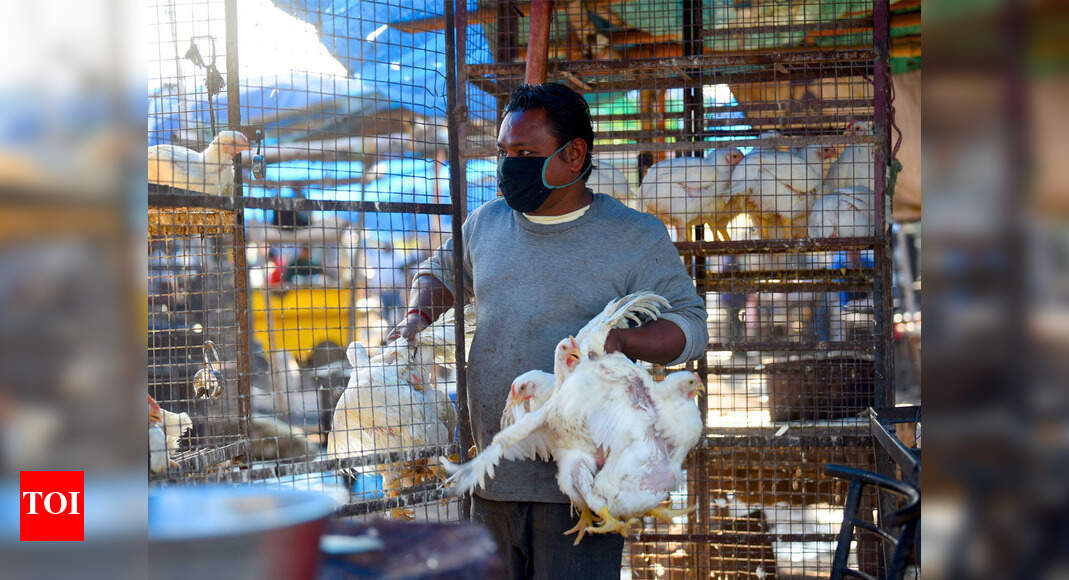 Bird flu: Telangana govt constitutes 1,300 rapid response teams; 276