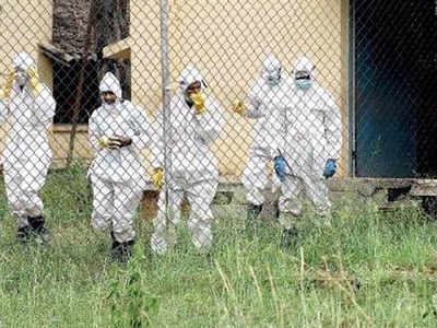 Karnataka govt puts districts on alert over bird flu fears
