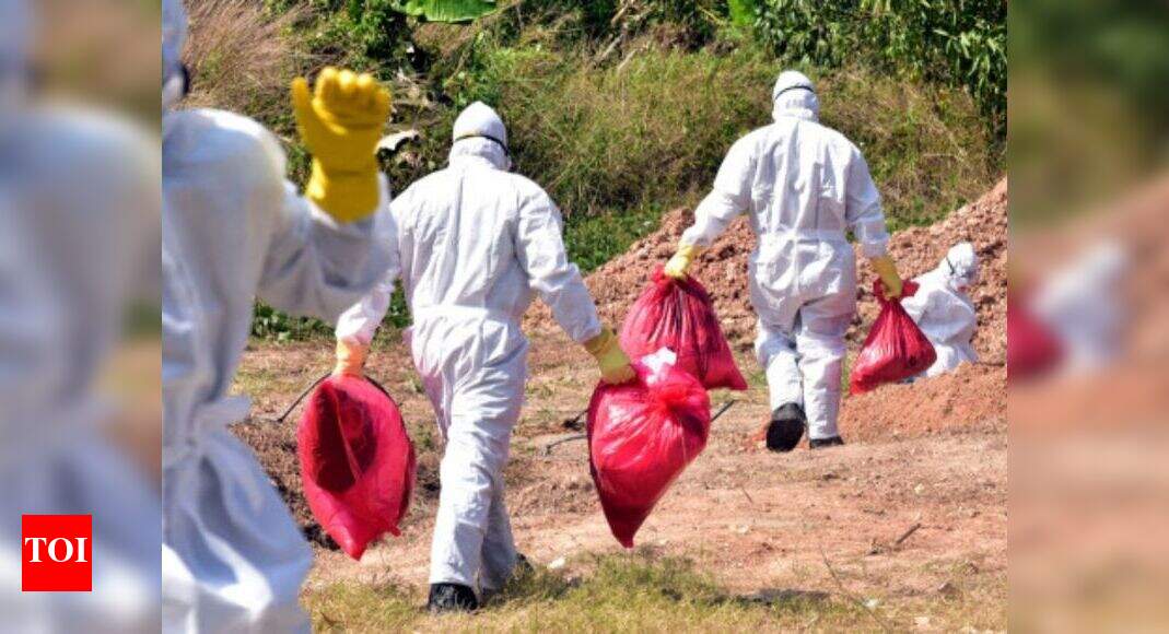 Bird Flu in Punjab: Now, crows found dead in Punjab ...